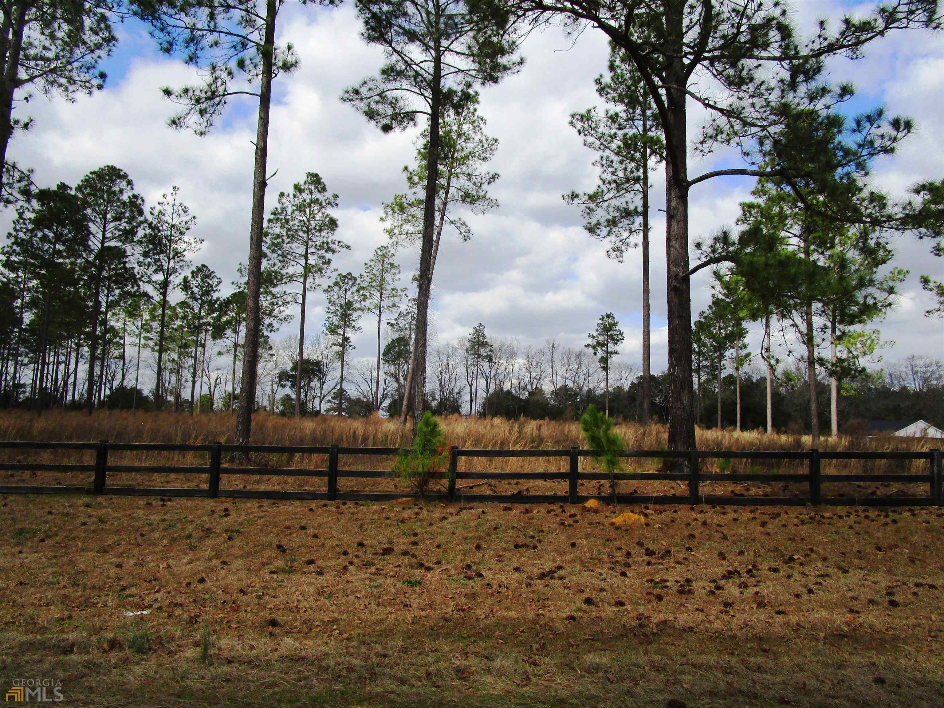1221 Whipples Crossing Road Dublin, GA 31021 - Photo 1 of 1 a view of outdoor space with garden