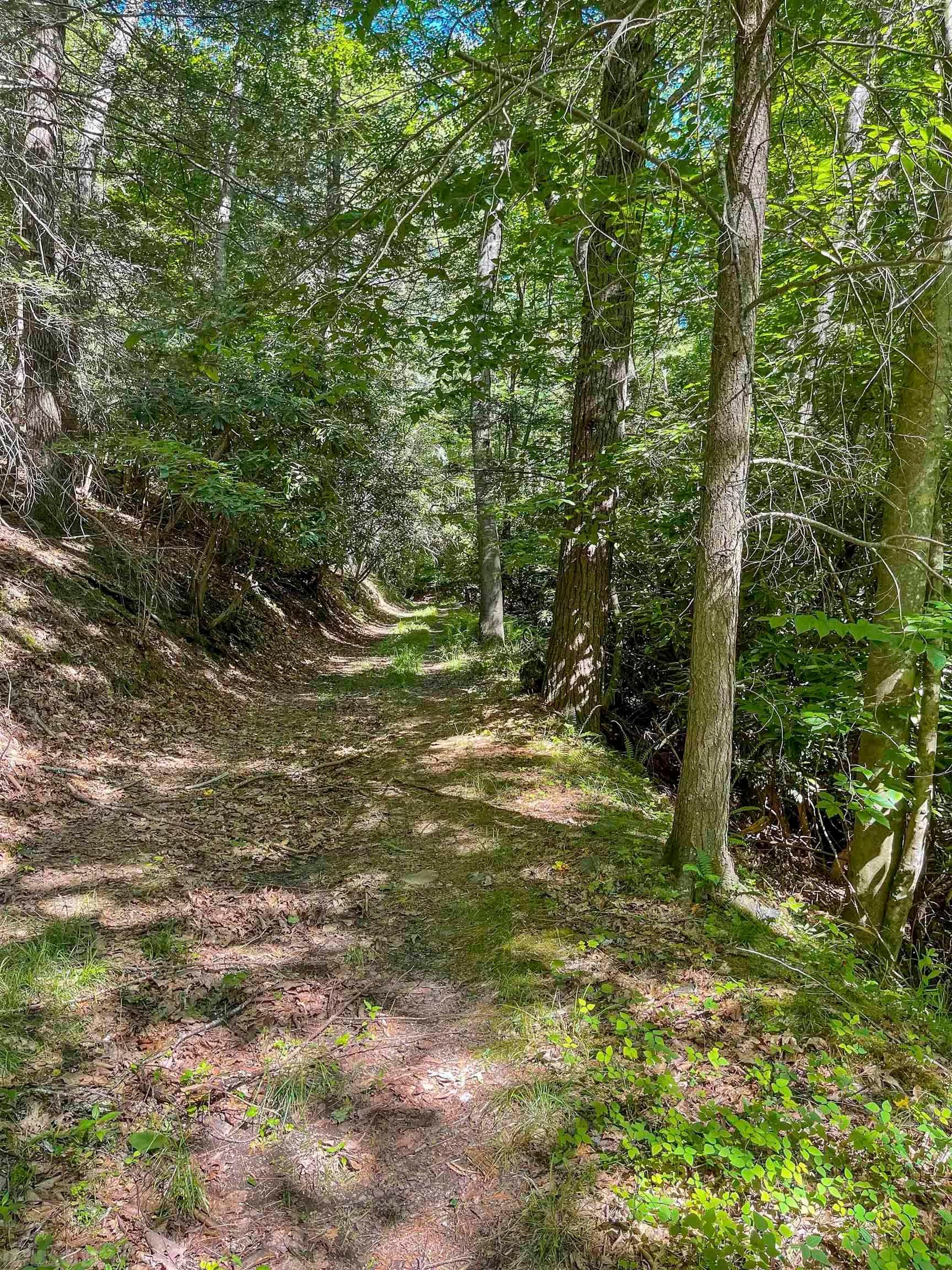 Tbd 68.5-ac Tbd 68.5-ac Berryhill Road Riner, VA 24149 - Photo 19 of 25 Gallery Image 19