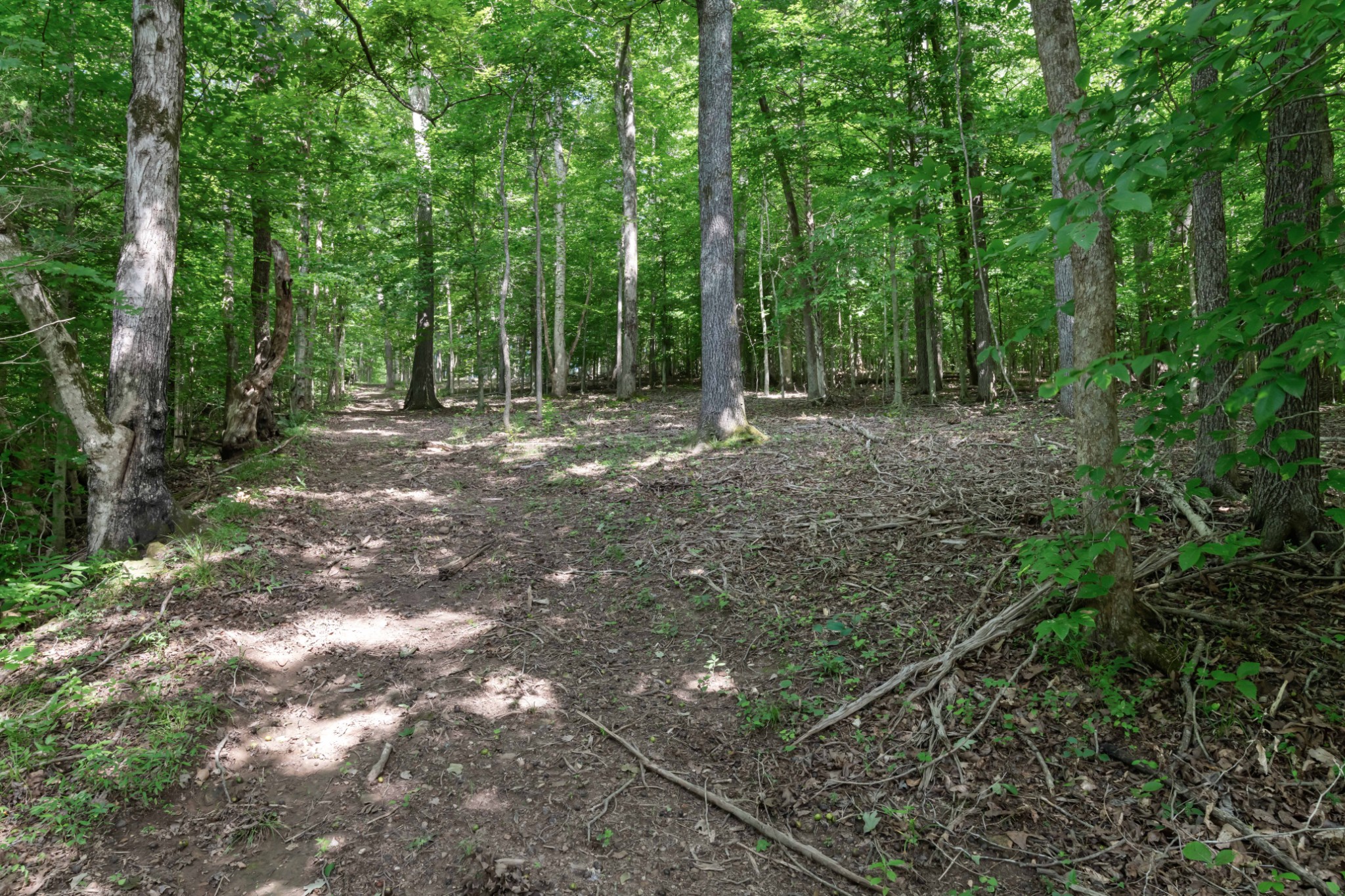 1025 Choate Road Dickson, TN 37055 - Photo 91 of 100
