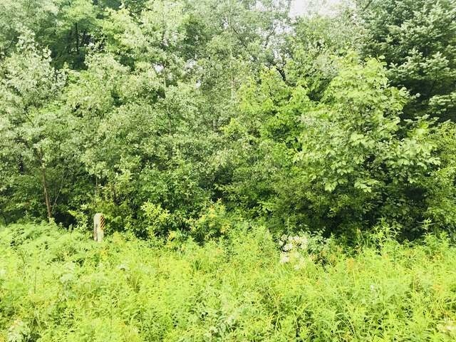 On On Phalzgraff Road Tripoli, WI 54564 - Photo 2 of 12 Gallery Image 2