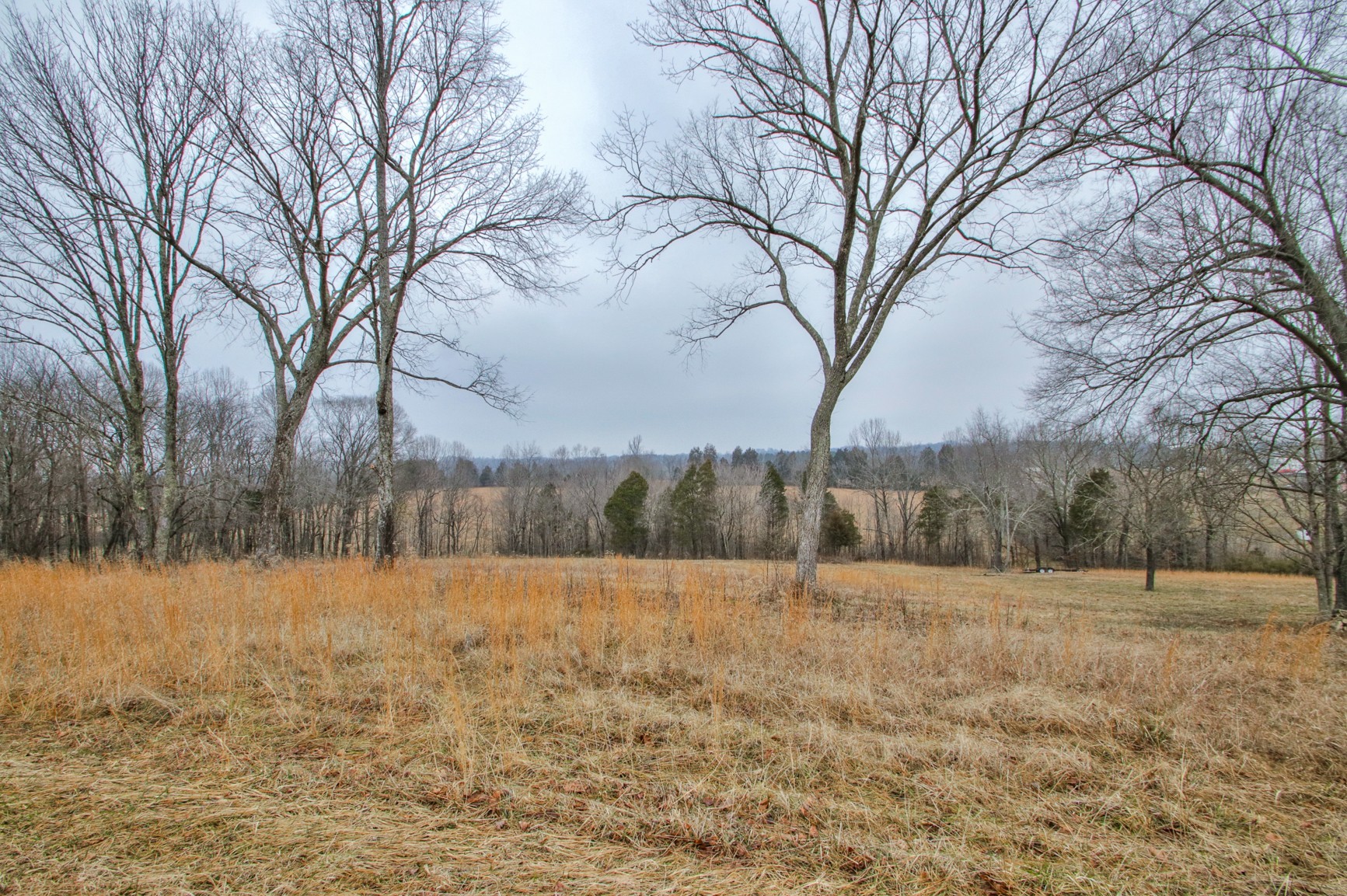 548 Holt Road Lebanon, TN 37087 - Photo 12 of 45