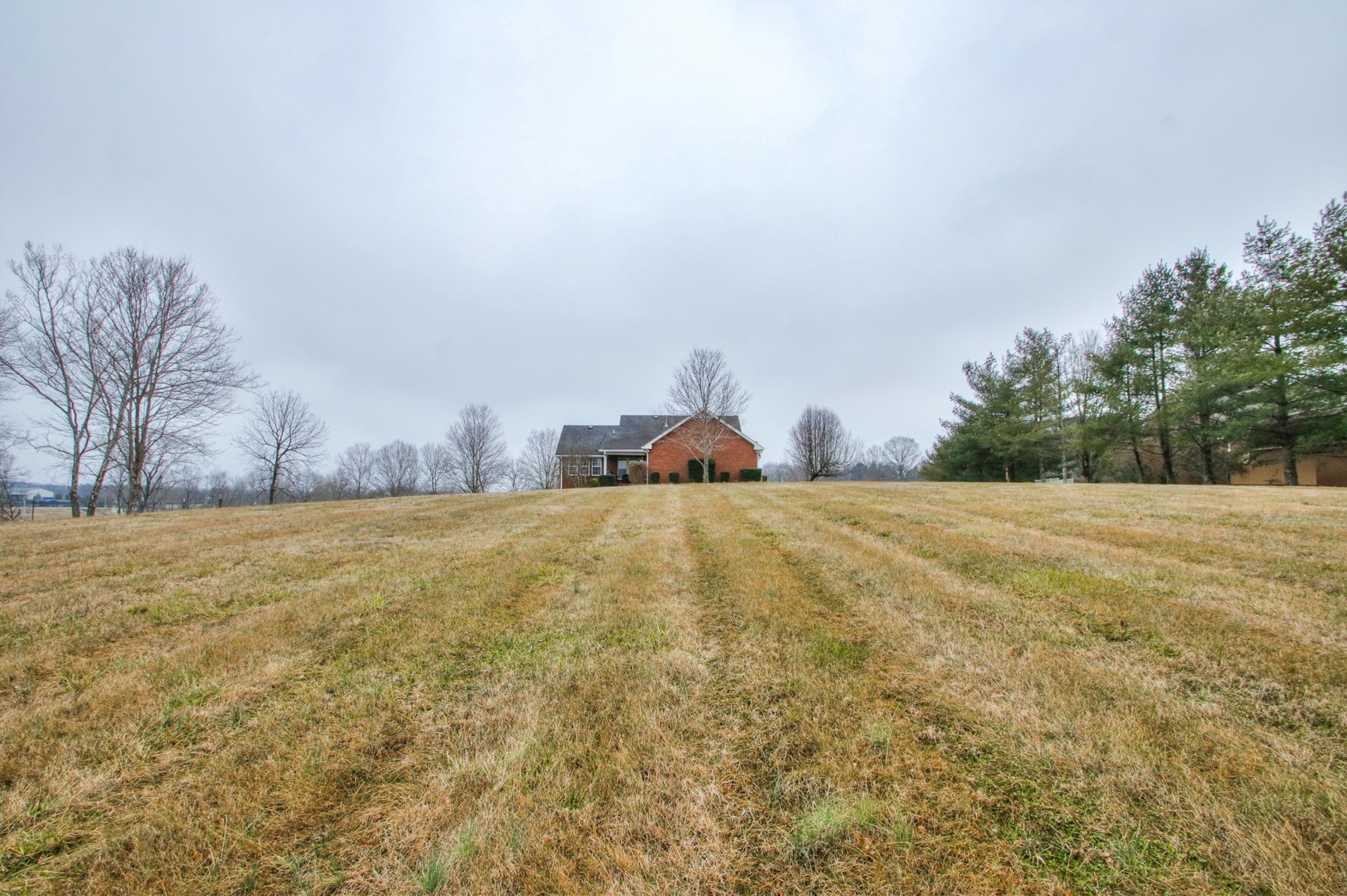 548 Holt Road Lebanon, TN 37087 - Photo 14 of 45