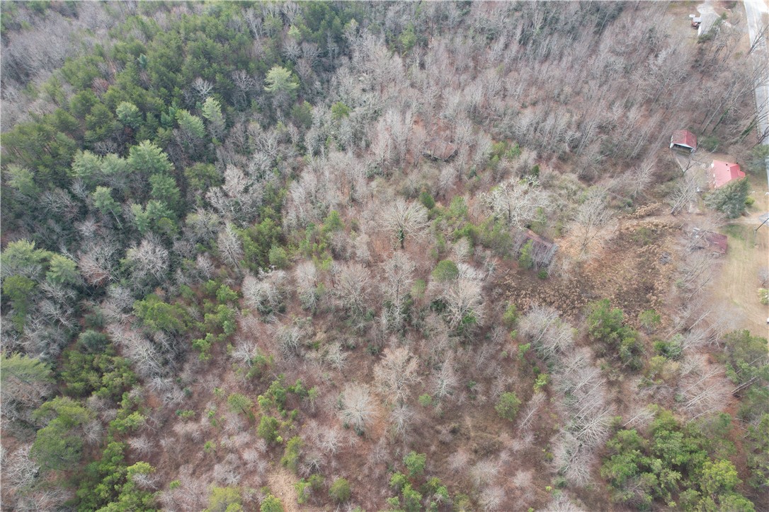 190 Whitewater Falls Road Salem, SC 29676 - Photo 27 of 31 Gallery Image 27