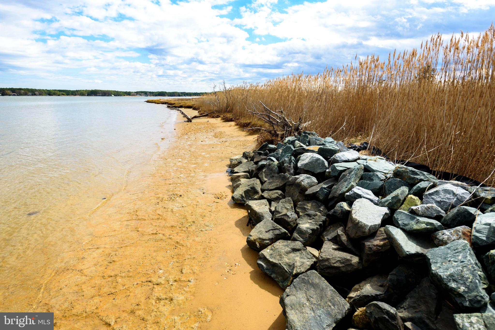 5227 Brooks Road Woolford, MD 21677 - Photo 35 of 39 shoreline