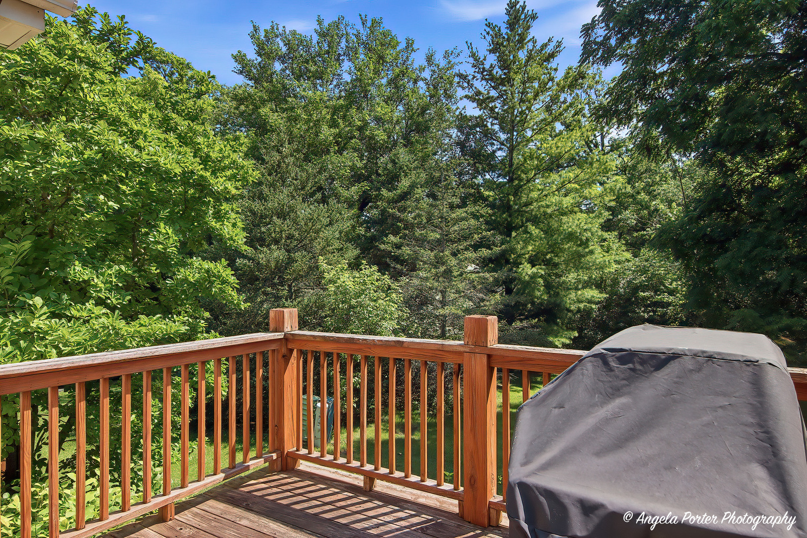 1376 Prairie View Parkway Cary, IL 60013 - Photo 22 of 24