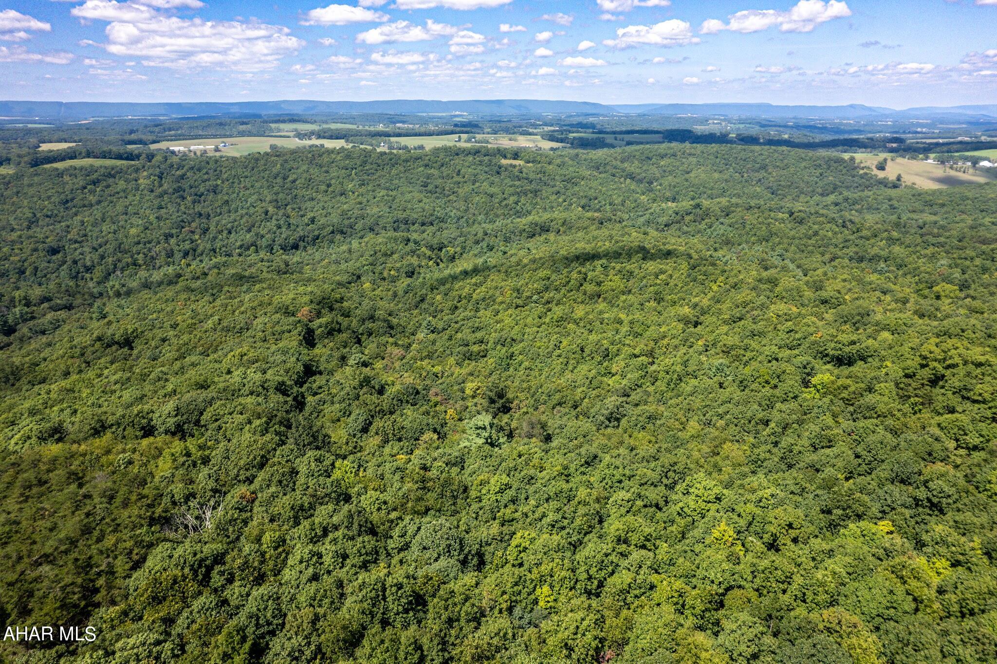 Off Addison Ridge Road Clearville, PA 15535 - Photo 6 of 18