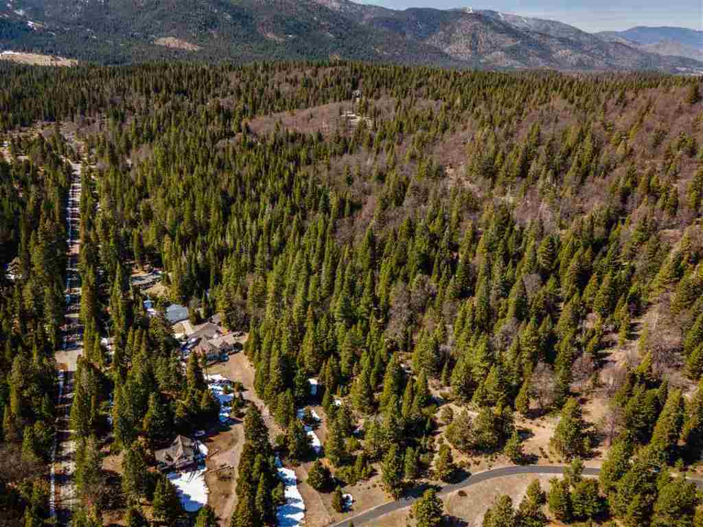 40-acres Off Deetz Road Mount Shasta, CA 96067 - Photo 8 of 25 Gallery Image 8