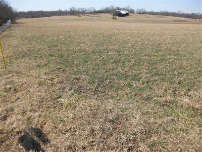 0 Bethel Road Nicholasville, KY 40356 - Photo 5 of 9 Photo 5