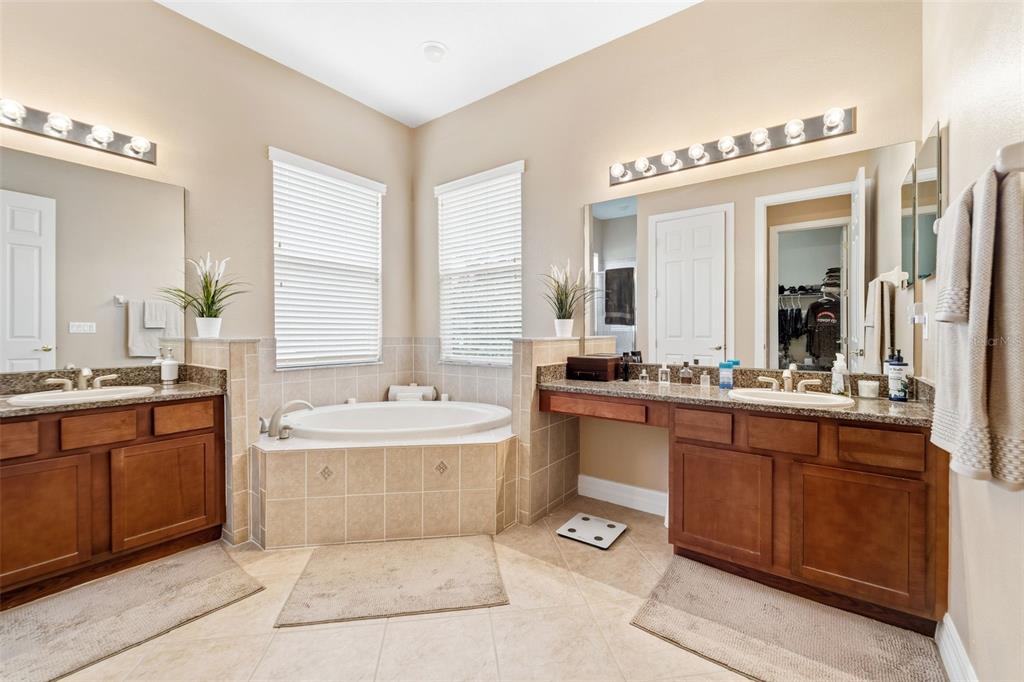 4460 Birchfield Loop Spring Hill, FL 34609 - Photo 22 of 38 a bathroom with a tub sink and mirror