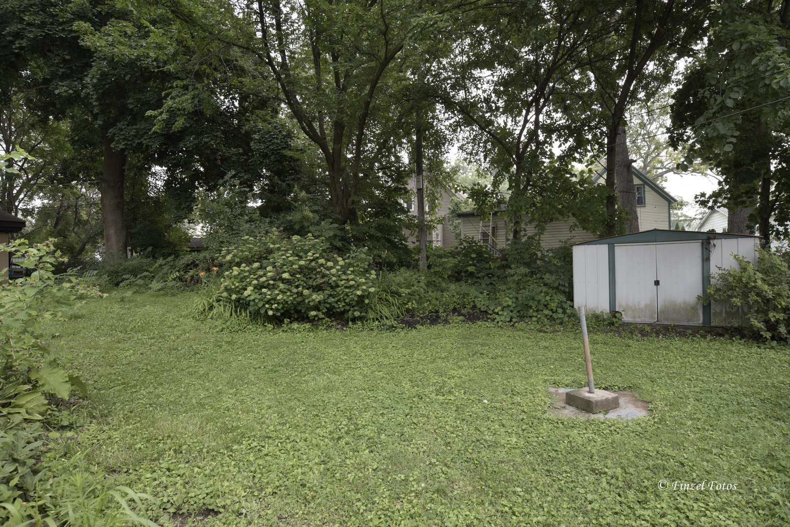 557 Willard Avenue Elgin, IL 60120 - Photo 16 of 16 a backyard of a house with plants and large tree