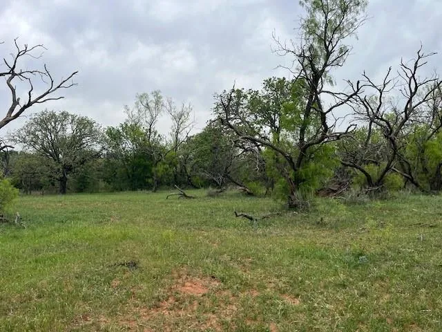 $201,250 | 23 Hoffman Road, Loving, TX 76460