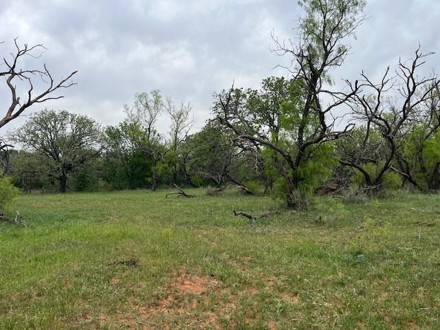 23 Hoffman Road Loving, TX 76460 - Photo 3 of 8 a view of a field with a tree