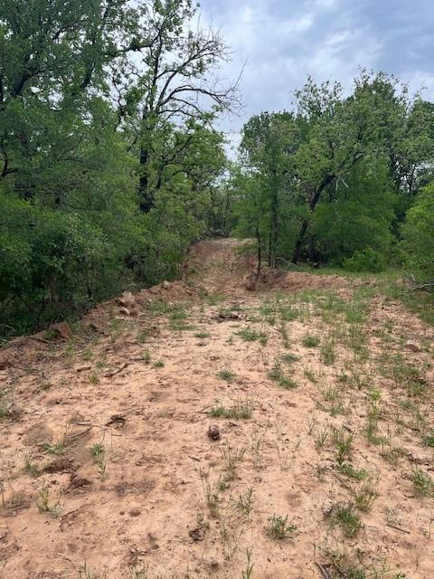 23 Hoffman Road Loving, TX 76460 - Photo 4 of 8 a view of a yard with plants and trees