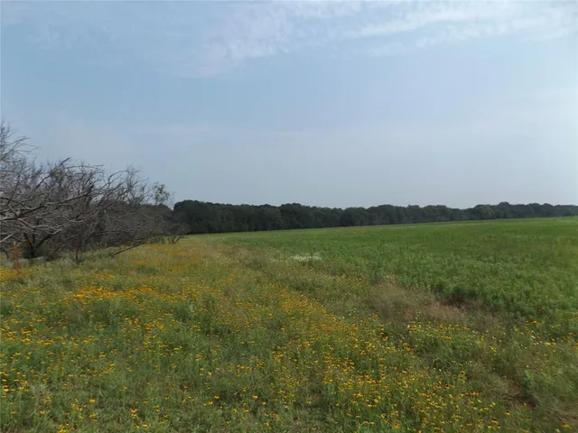 $201,250 | 23 Hoffman Road, Loving, TX 76460