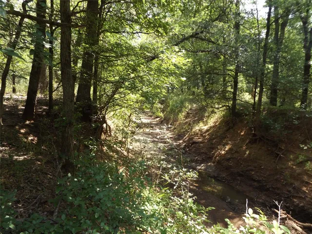 $201,250 | 23 Hoffman Road, Loving, TX 76460