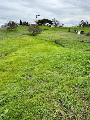 a view of a field with an trees in the background