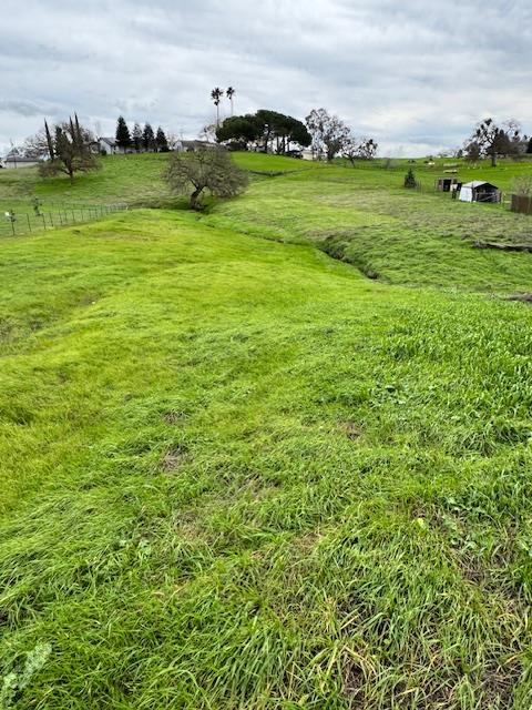 4090 Beaver Road Ione, CA 95640 - Photo 3 of 11 a view of a field with an trees in the background