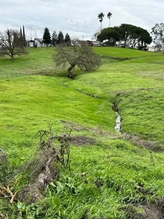 a view of a field with an trees