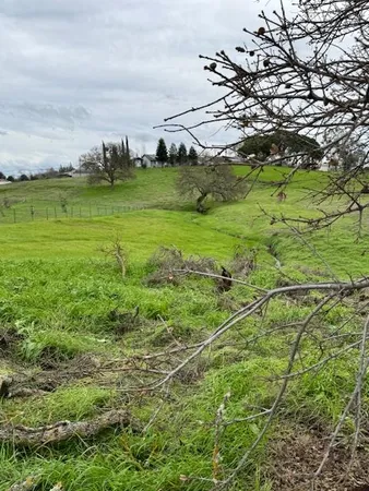 a view of a big yard with an trees