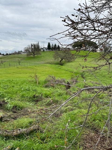 4090 Beaver Road Ione, CA 95640 - Photo 7 of 11 a view of a big yard with an trees
