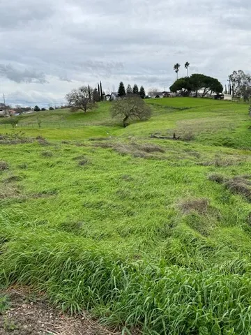 a view of a field with an trees