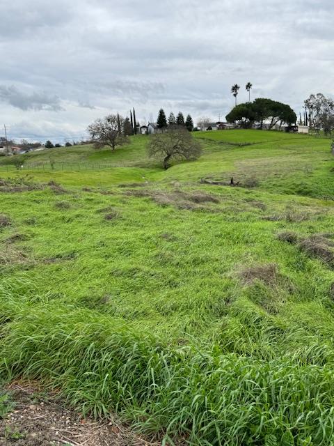 4090 Beaver Road Ione, CA 95640 - Photo 10 of 11 a view of a field with an trees