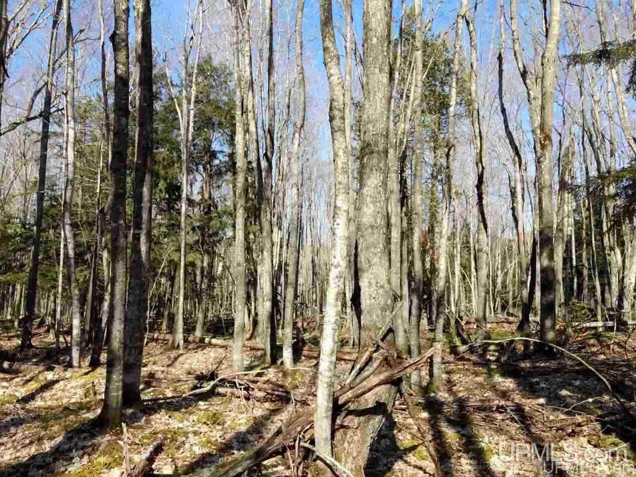 Tbd Off Pt Abbaye Road Lanse, MI 49946 - Photo 28 of 38 Gallery Image 28