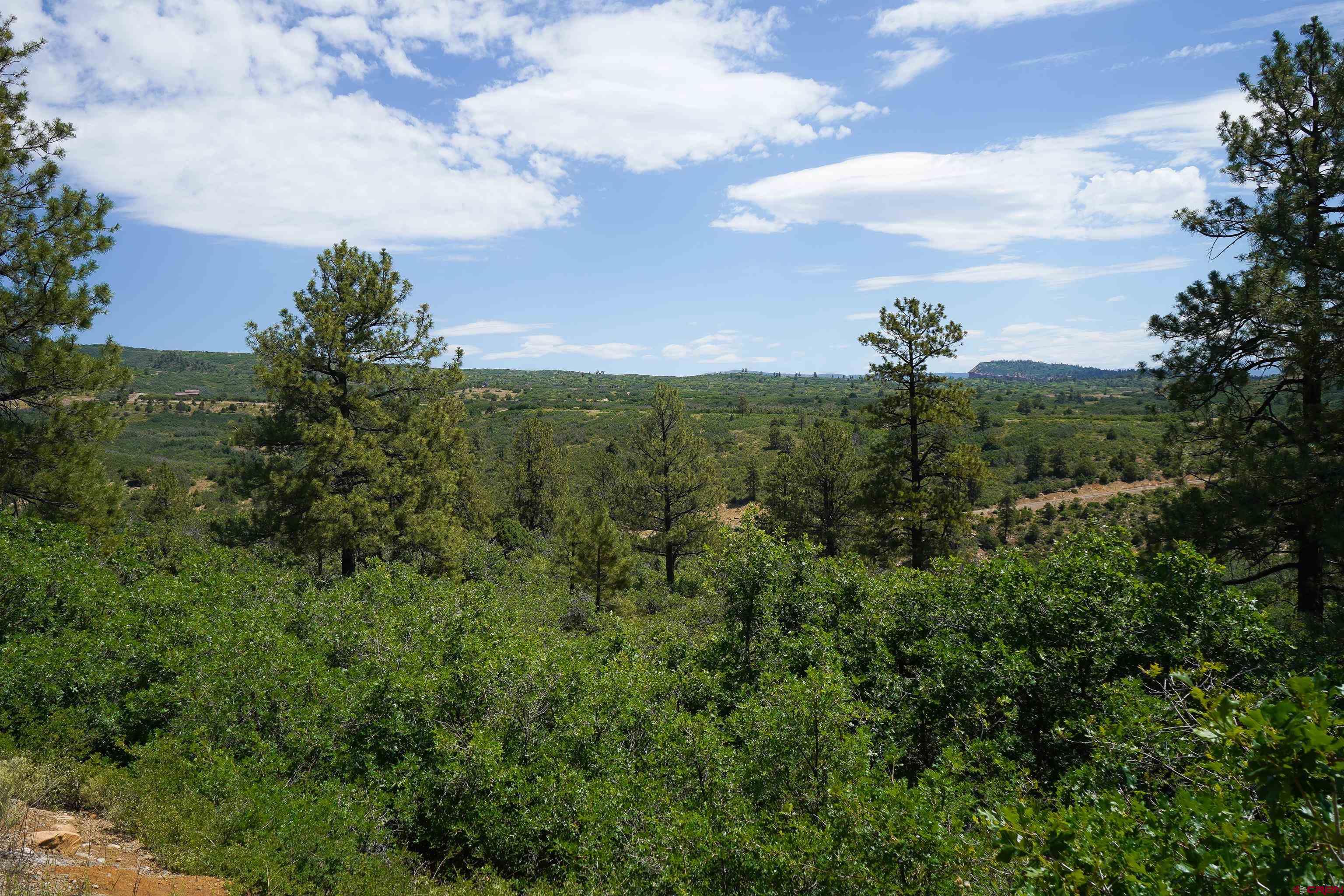 224 West Durango Ridge Road Durango, CO 81301 - Photo 8 of 16