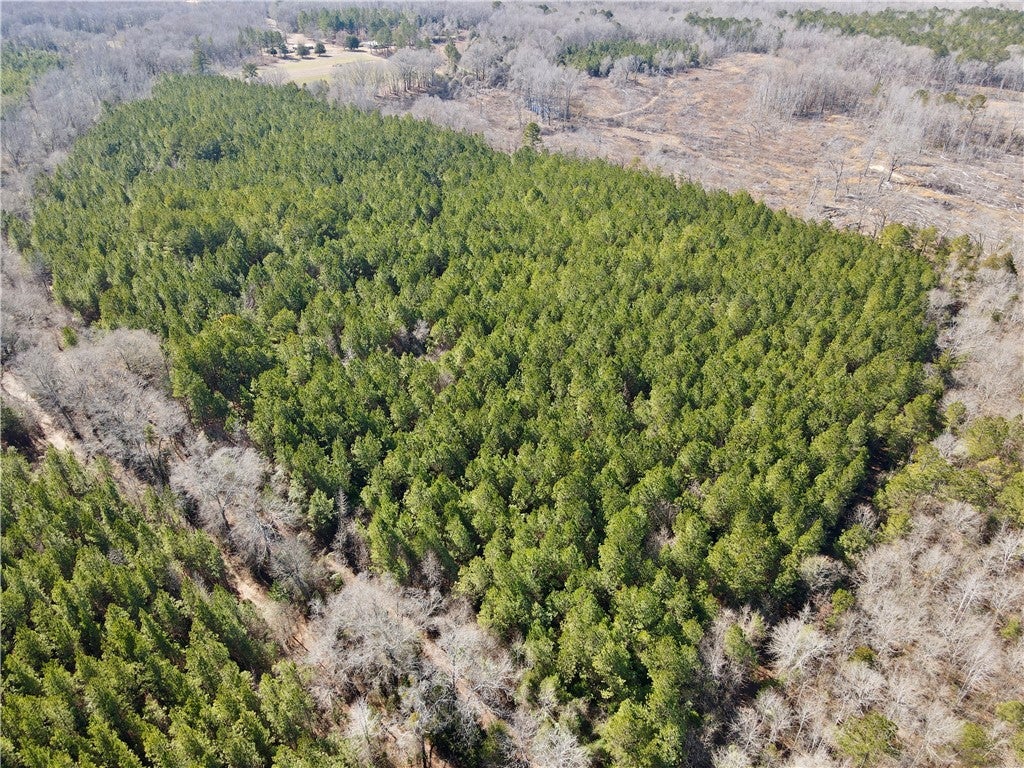 0 Brazell Road Camp Hill, AL 36850 - Photo 12 of 24 Gallery Image 12