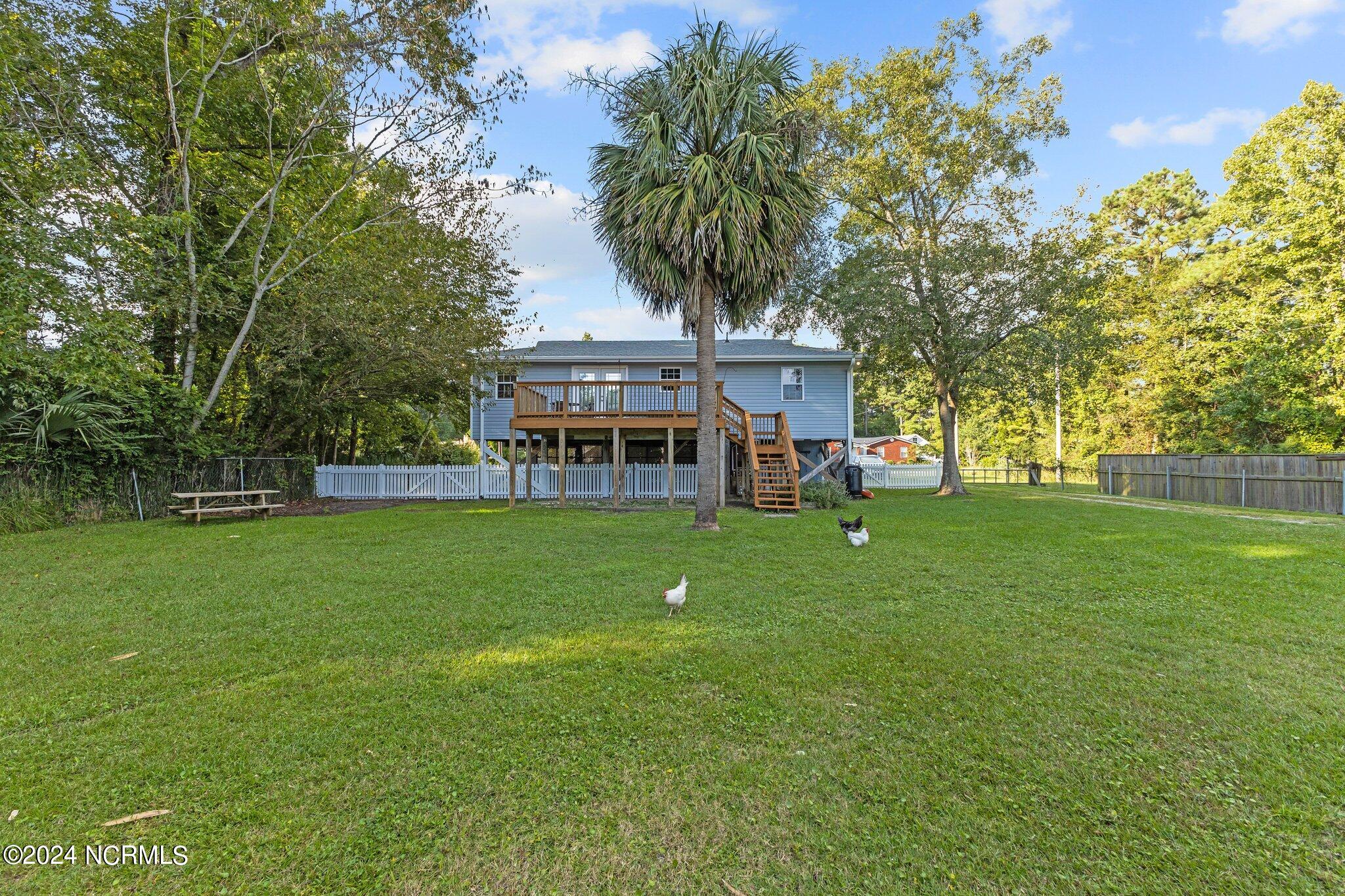 235 Steel Tank Road Beaufort, NC 28516 - Photo 37 of 51 Backyard
