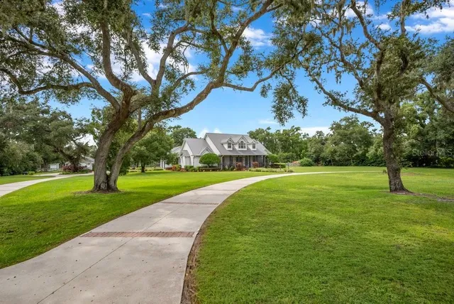 a view of a park with large trees