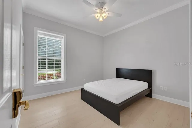 an aerial view of green landscape with trees houses and mountain view