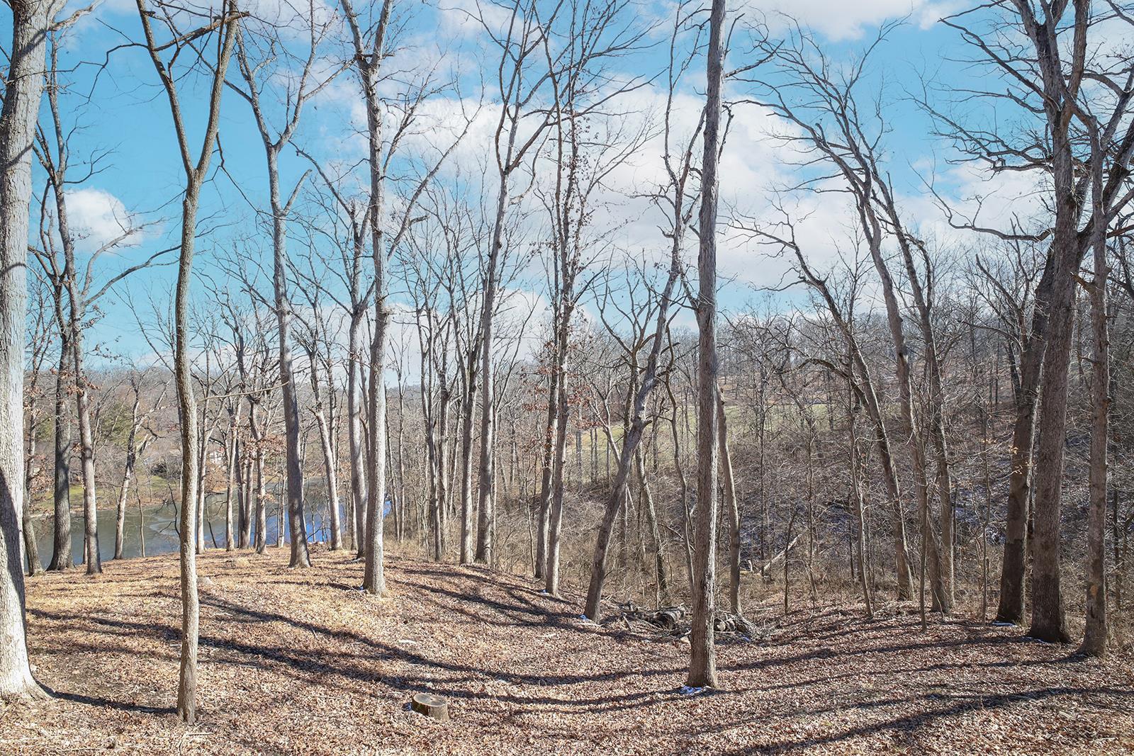 1660 Trotting Trail Road Chesterfield, MO 63005 - Photo 40 of 48 Gallery Image 40