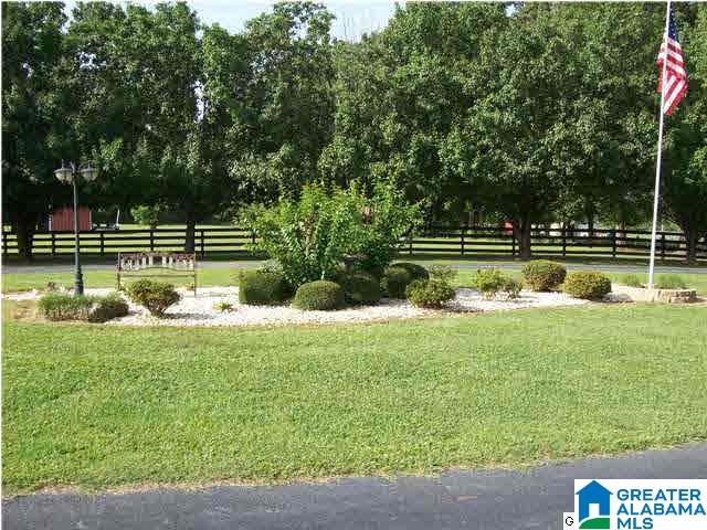 715 Coupland Road Odenville, AL 35120 - Photo 3 of 31