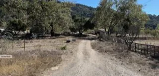 a view of a yard with large trees