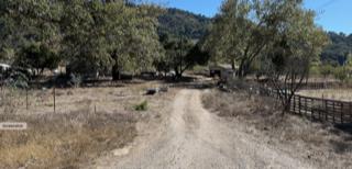 10406 Creek Road Oak View, CA 93022 - Photo 3 of 3 a view of a yard with large trees
