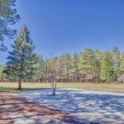 8034 Indian Bend Road Pinetop, AZ 85935 - Photo 11 of 35