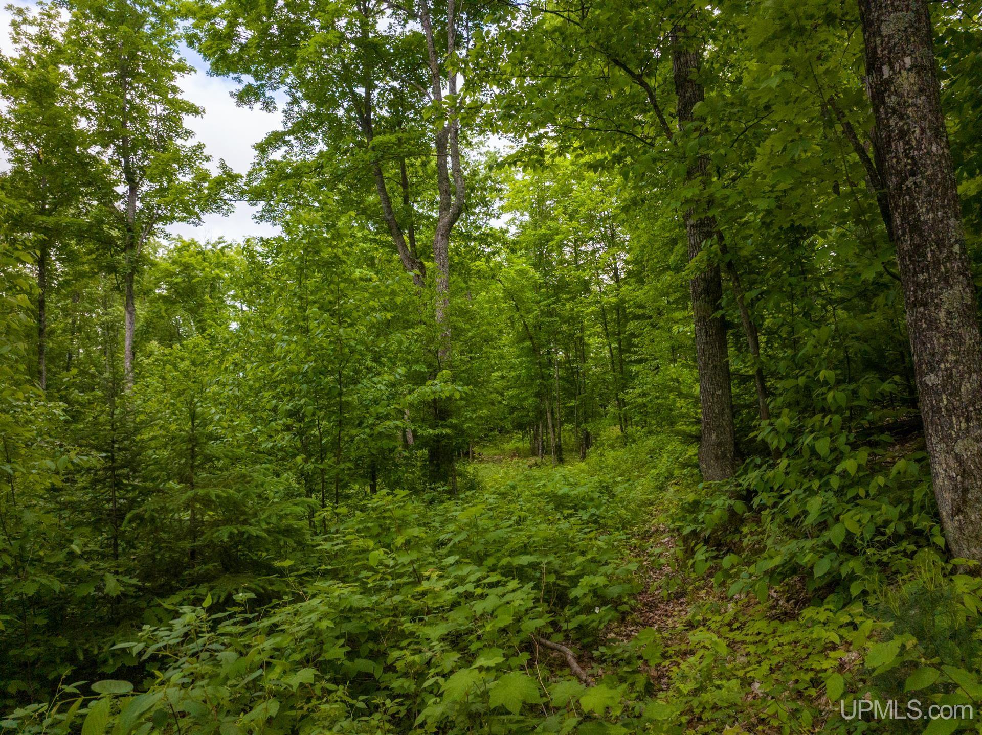 Tbd Tbd Co Road Negaunee, MI 49866 - Photo 3 of 47