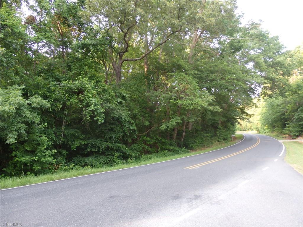 0 Covered Bridge Road Trinity, NC 27370 - Photo 3 of 4
