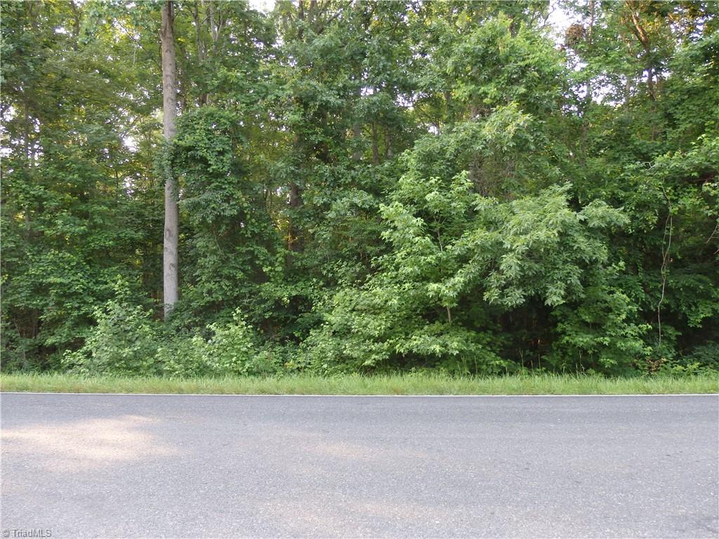 0 Covered Bridge Road Trinity, NC 27370 - Photo 4 of 4