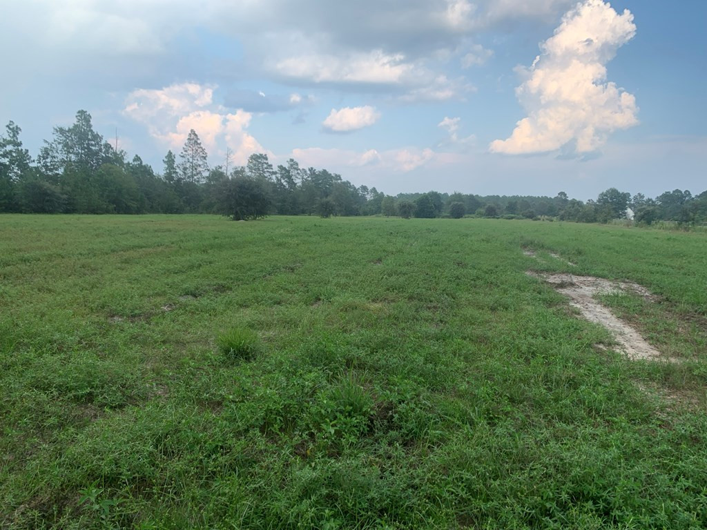 Tbd Tolt Trail Aiken, SC 29801 - Photo 7 of 14