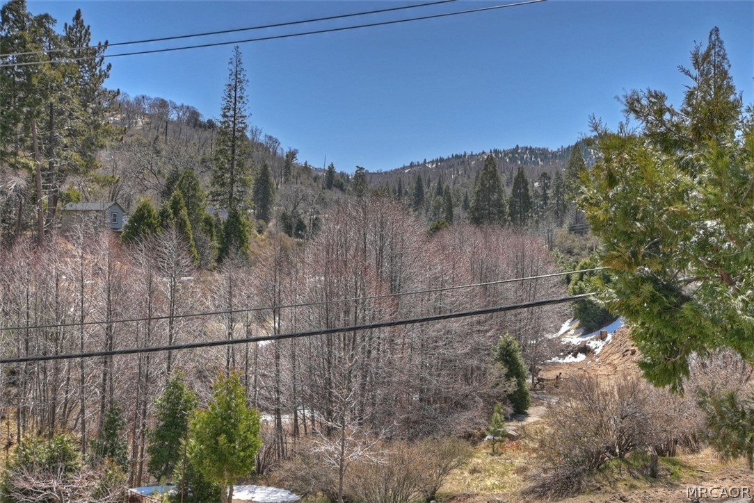 29632 Hook Creek Road Cedar Glen, CA 92321 - Photo 33 of 43 a view of a yard