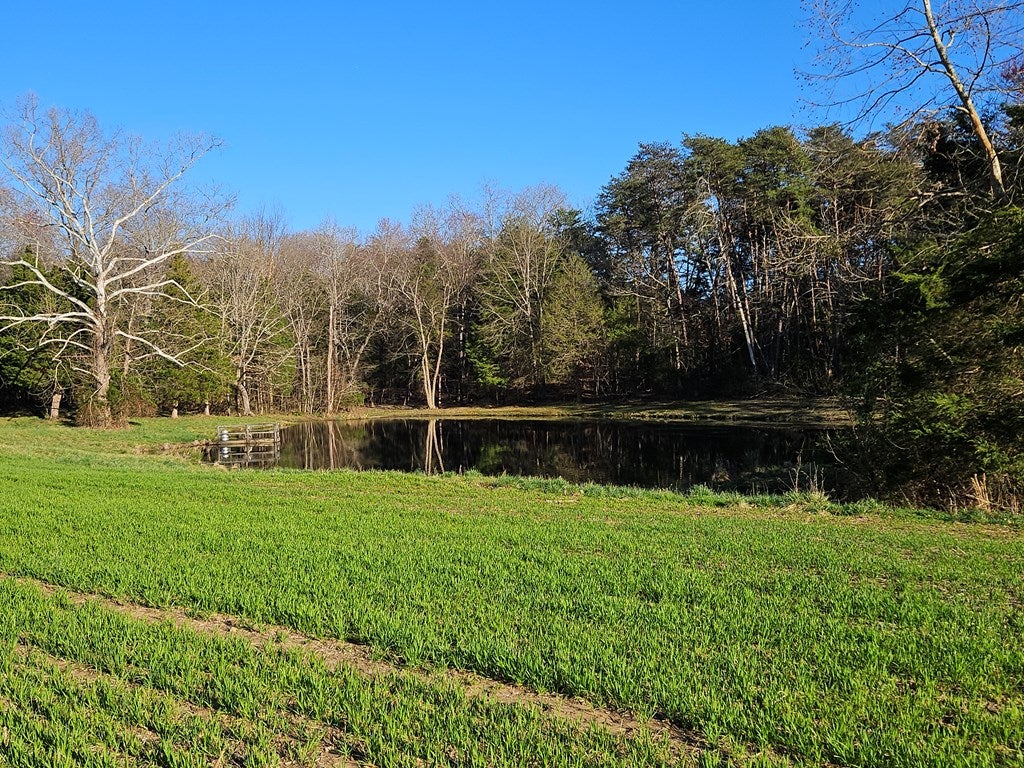 634 Salem Church Road Dillwyn, VA 23936 - Photo 26 of 36 Gallery Image 26