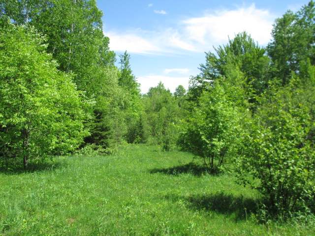 On On Kuusisto Road Hurley, WI 54534 - Photo 1 of 10 Gallery Image 1