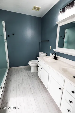 a bathroom with a sink and a toilet