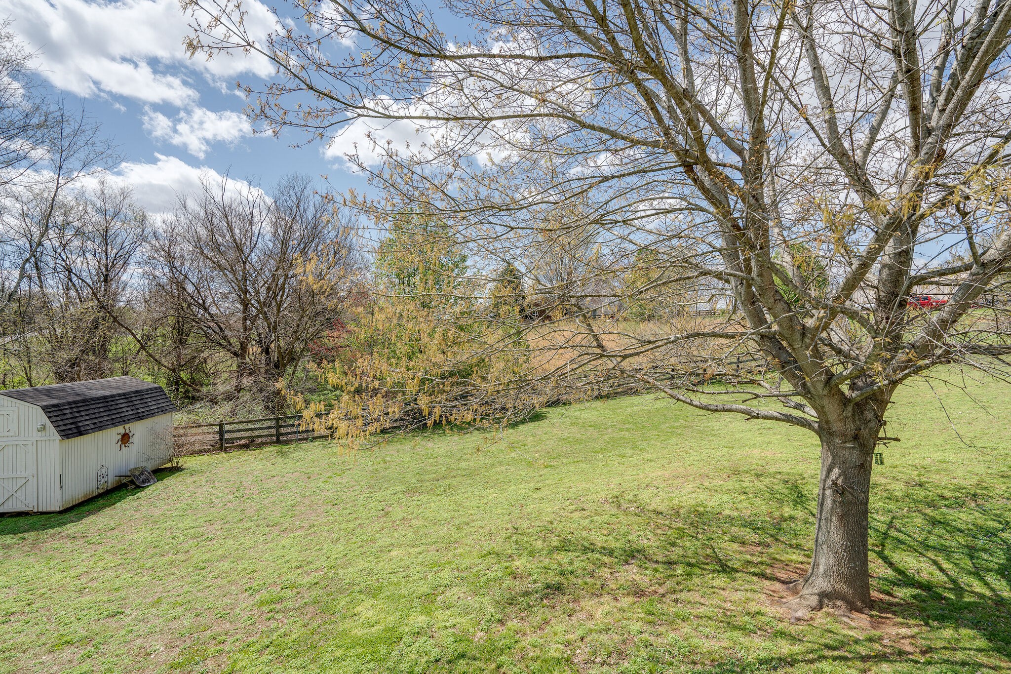 1011 Green Acres Road Joelton, TN 37080 - Photo 28 of 31 a view of yard with large tree