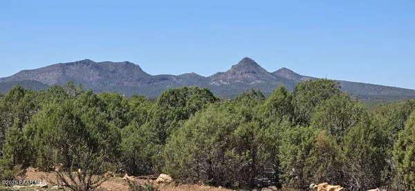 a view of a house with a mountain and a forest