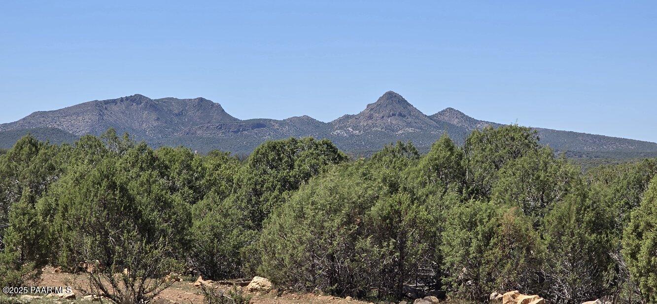 912 Westwood Ranch Williams, AZ 86046 - Photo 1 of 28 a view of a house with a mountain and a forest