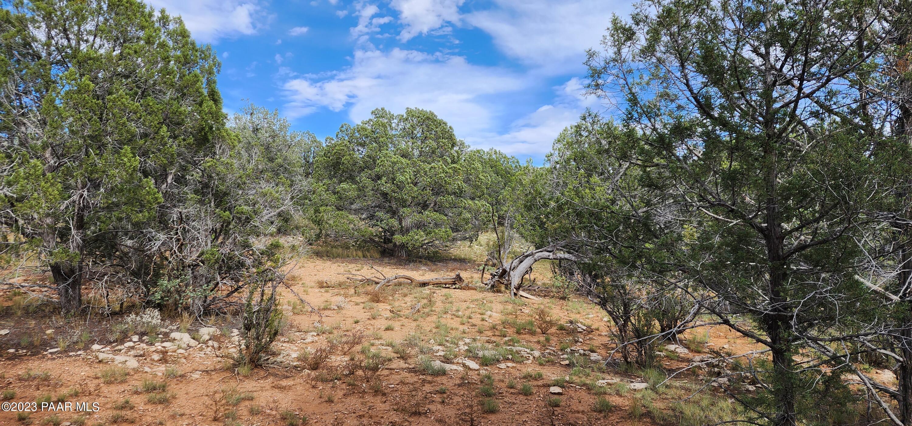 912 Westwood Ranch Williams, AZ 86046 - Photo 12 of 28 a picture of trees