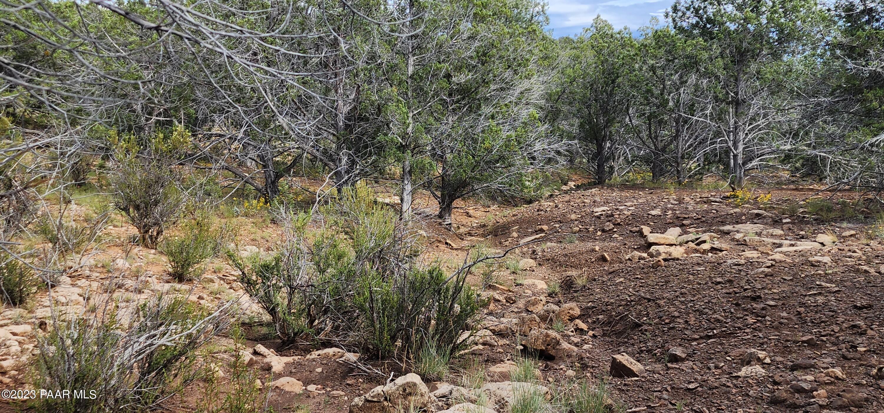 912 Westwood Ranch Williams, AZ 86046 - Photo 15 of 28 a view of a forest with trees in the background